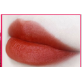 Wholesale no label Multi-coloured matte lipgloss DOM/OEM